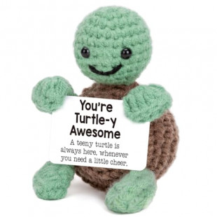 Mini Funny Turtle Easter Basket Essentials Stuffers for Teens Easter Gifts for Kids Teen Girls Boys, Birthday Gifts for Women Men Mothers Day Graduation Teacher Appreciation, Positive Emotional Turtle