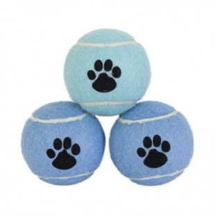 Vibrant Life 3 Pack Fetch Balls Dog Toy