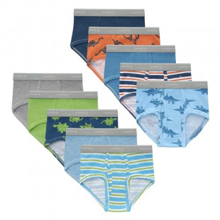 Hanes Boys Toddler Brief Underwear 10-Pack Dinosaur Prints Solids