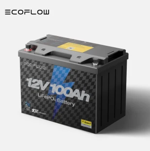 EcoFlow 12V 100Ah LiFePO4 Battery BMS Deep Cycle
