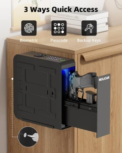 Biometric Gun Safe