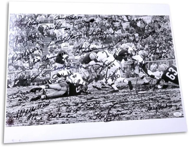 1965 Packers Signed Autographed 16X20 Photo Starr Hornung 28 Sigs JSA XX29440