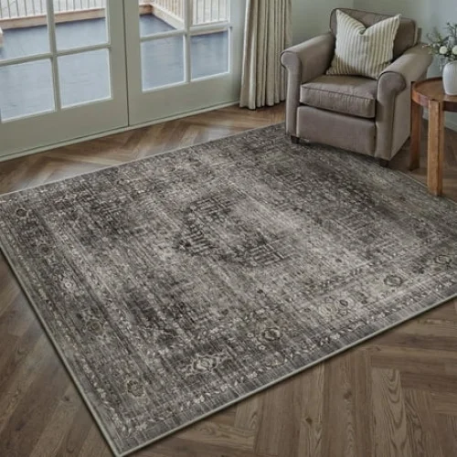 BERTHMEER 3'x5' Small Area Rugs for Living Room Bedroom Office Indoor Vintage Traditional Distressed Rugs
