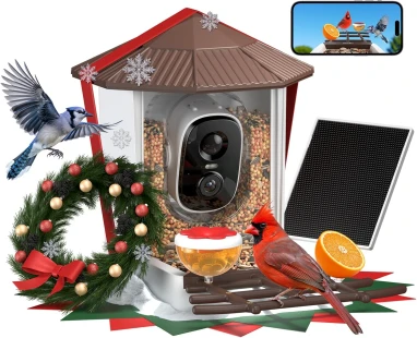 Solar-Powered Smart Video Bird Feeder
