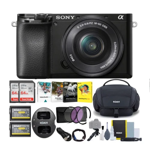 Sony Alpha a6100 APS-C Mirrorless Camera with 16-50mm Lens (Black) Bundle