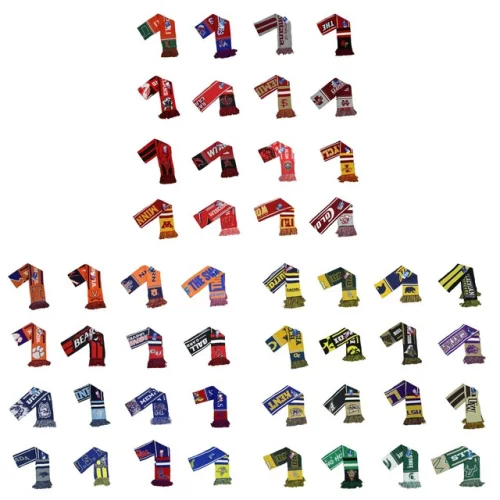 NCAA College Logo & Team Colors Knit Fringe Scarf 62"x7" OSFM Pick School/Style