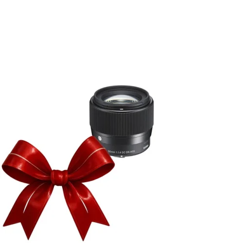 Sigma 56mm f/1.4 Contemporary DC DN Prime Lens for Sony E