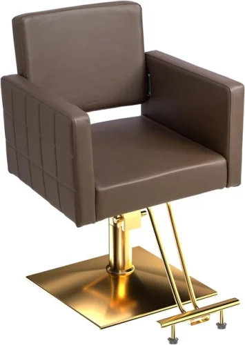 Ergonomic Salon Chair w/ High-Density Foam - Adjustable Hydraulic Styling Chair