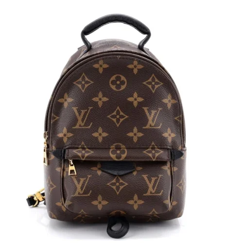 Louis Vuitton Palm Springs Backpack Monogram Canvas Mini