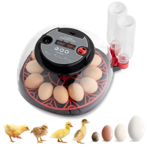 12 Eggs Incubator Automatic Chicken Quail Egg Hatcher Incubator for Hatching Egg