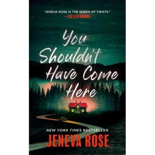 You Shouldn't Have Come Here (Unabridged edition) (Paperback)