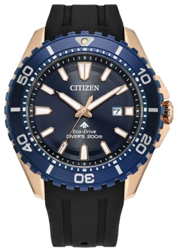 Citizen Men's Sea Calendar Eco-Drive Black Polyurethane Watch 45 MM BN0196-01L