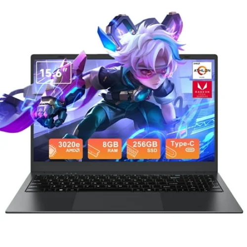 RNRUO 15.6" Windows 11 Laptop, Dual 8GB RAM, 256GB SSD, AMD 3020e with 2 Cores up to 2.6GHz, With Office 2024, 1920x1080 Display WiFi5 BT5.0 for Student, Home Office, Business