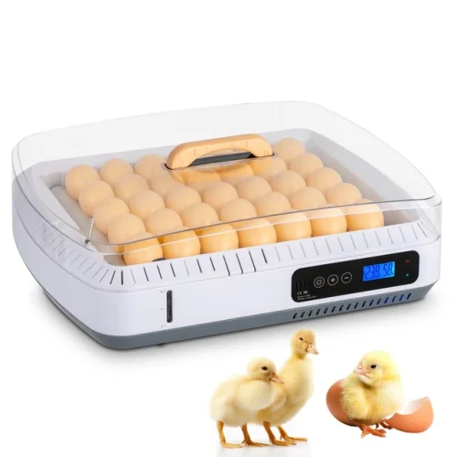 Smart Digital 35 Eggs Incubator Auto Turning Birds Hatcher Visual Window New