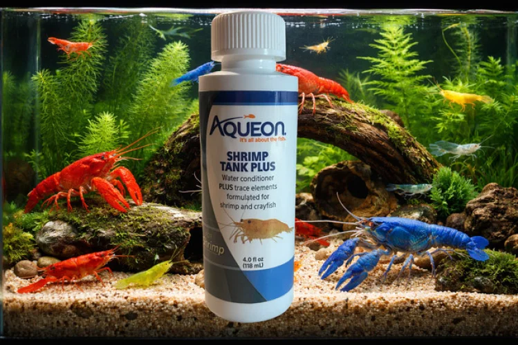 Aqueon Shrimp Tank Plus 4oz - Safe Water Conditioner for Shrimp & Crayfish 12z