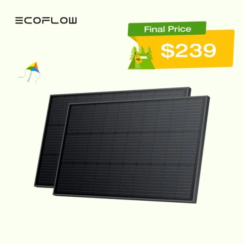 2PCS 100W EcoFlow Rigid Solar Panel - IP68, High Efficiency Solar Modules