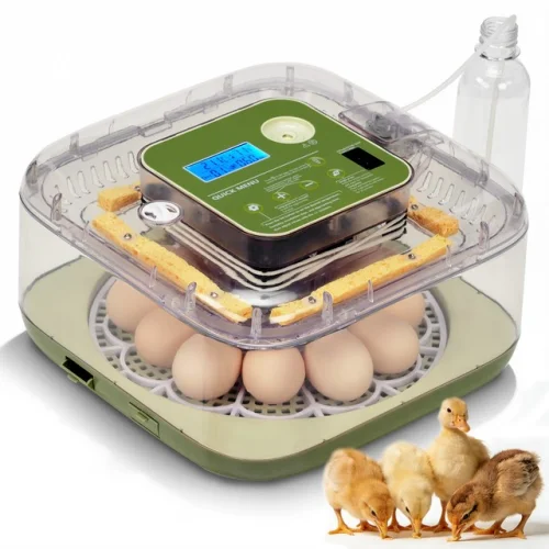 12 Egg Digital Incubator Auto Turning Egg Candler Temperature & Humidity Control
