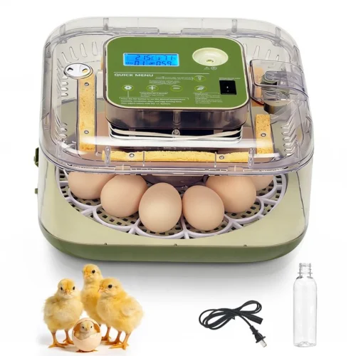 12 Eggs Incubator Automatic Chicken Quail Egg Hatcher Incubator for Hatching Egg