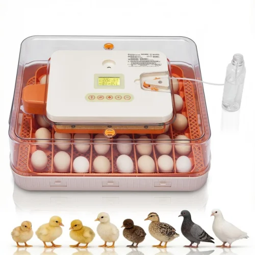 56 Egg Digital Incubator Auto Turning Egg Candler Temperature & Humidity Control