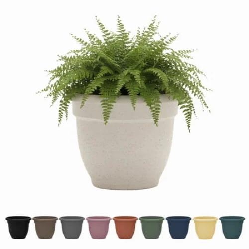 Bloem Ariana 10" Self-Watering Plastic Planter - Rolled Rim Indoor/Outdoor Garden Pot, Vanilla Bean