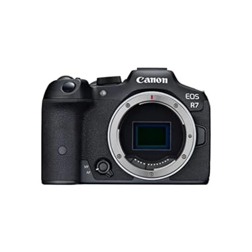 Canon EOS R7 Mirrorless Camera (Body Only), Hybrid Camera, 32.5 Megapixel