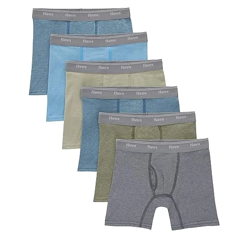 Hanes Boys' Originals Underwear Boxer Briefs Pack, Blue Oasis & Assorted, 6-Pack