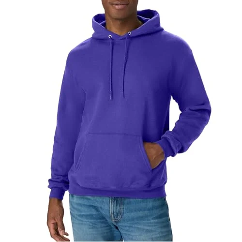 Hanes Men's Pullover EcoSmart Hooded Sweatshirt, purple, Large