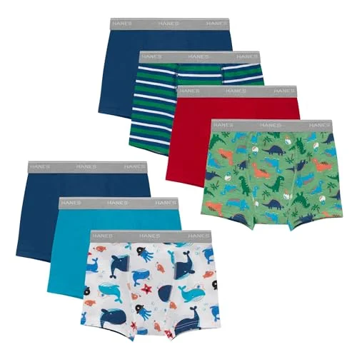 Hanes Toddler Potty Trainer Boxer Briefs for Toddlers, Light Leaks Potty Training Underwear for Boys, Multipacks