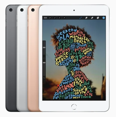 Apple iPad mini 5th Gen 64GB WiFi 7.9" (2019) &ndash; Good &ndash; Warranty