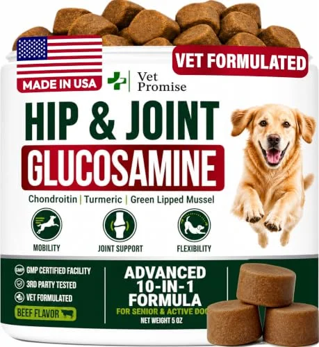 Glucosamine Hip & Joint Supplement for Dogs - Chews with Chondroitin & MSM