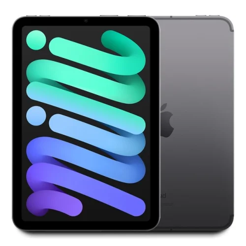 2021 Apple iPad Mini 6 256GB WiFi/Cellular 8.3" - Space Gray (Model A2568) with Warranty