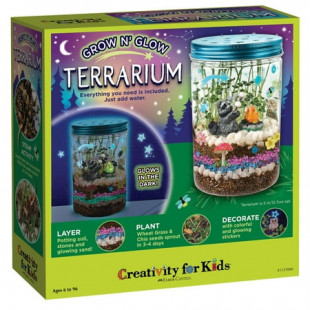 Creativity for Kids Grow N’ Glow Terrarium – Child Craft Activity for Boys and Girls