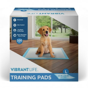 Vibrant Life Training Pads, Large, 22 in x 22 in, 100 Count