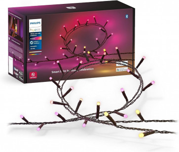 Philips Hue Indoor/Outdoor Holiday 65-Foot Festavia String Lights - 250 Mini Color Changing Smart LEDs