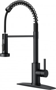 FORIOUS Black Kitchen Faucet with Pull Down Sprayer